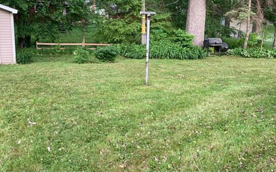 Photo of Jenny D.'s yard after getting landscaping in Glenwood City, WI