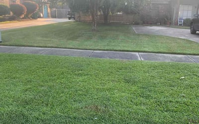 Photo of Rebecca R.'s yard after getting landscaping in Greensburg, LA