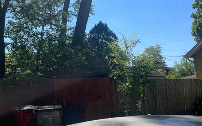 Photo of Mary A.'s yard after getting landscaping in Derby, OH