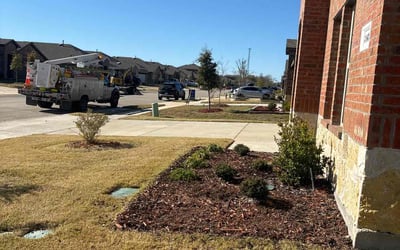 Photo of Song N.'s yard after getting lawn care in Royse City, TX