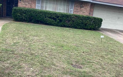 Photo of John P.'s yard after getting landscaping in Celeste, TX
