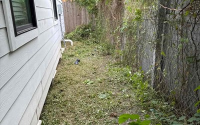 Photo of Kevin C.'s yard after getting landscaping in Houston, TX