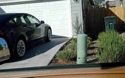 Photo of Nicole M.'s yard after getting landscaping in Reedley, CA