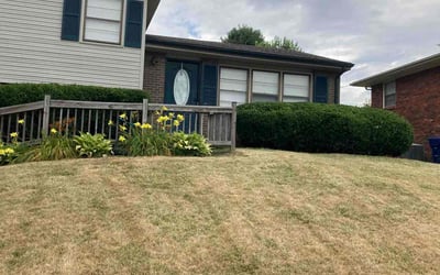 Photo of Mark A.'s yard after getting landscaping in Versailles, KY