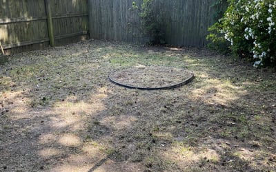 Photo of Maria H.'s yard after getting landscaping in Aydlett, NC