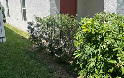 Photo of Matthew R.'s yard after getting landscaping in Ozona, FL