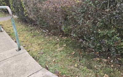 Photo of Andrea C.'s yard after getting landscaping in Pittsburgh, PA