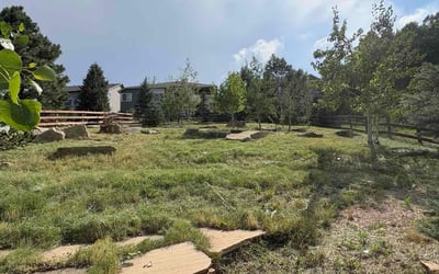 Photo of Laura S.'s yard after getting landscaping in Golden, CO