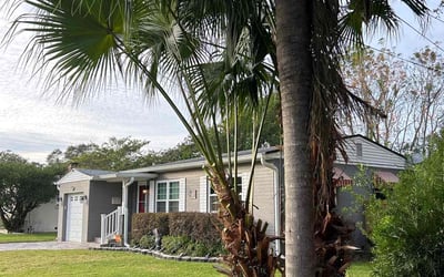 Photo of Terry B.'s yard after getting landscaping in Christmas, FL