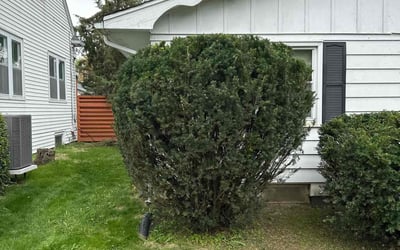 Photo of Robert B.'s yard after getting landscaping in Moline, IL