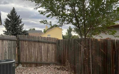 Photo of Michael W.'s yard after getting landscaping in Cascade, CO