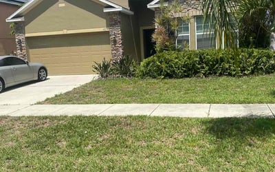 Photo of Nick M.'s yard after getting landscaping in Indian Lake Estates, FL