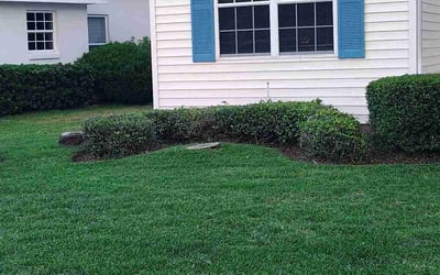 Photo of Paul S.'s yard after getting landscaping in Leesburg, FL
