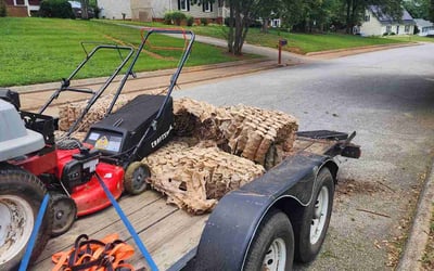 Photo of Liz M.'s yard after getting landscaping in Clinton, SC