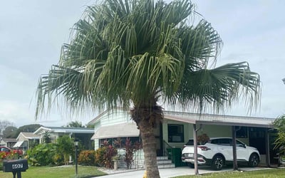 Photo of Patricia S.'s yard after getting landscaping in Patrick Afb, FL