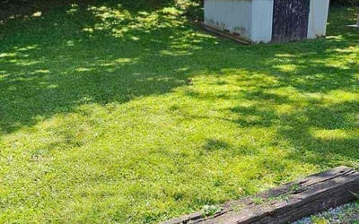Photo of Ramona K.'s yard after getting lawn care in Canton, OH