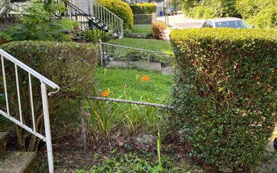 Photo of Lance T.'s yard after getting landscaping in Libertytown, MD