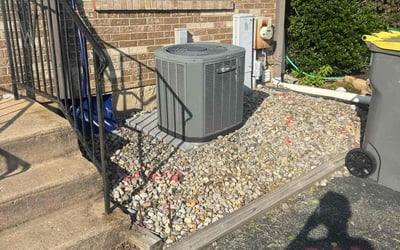Photo of Megan M.'s yard after getting landscaping in Salem, NJ