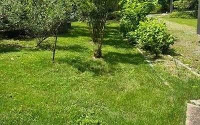 Photo of Moses M.'s yard after getting tree care in Centreville, VA
