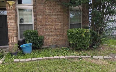 Photo of Stacey L.'s yard after getting landscaping in Mesquite, TX