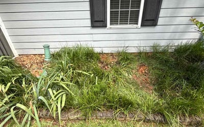 Photo of Cheryl A.'s yard after getting landscaping in Griffin, GA
