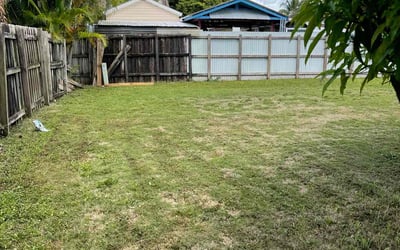 Photo of Elena D.'s yard after getting landscaping in Miami, FL