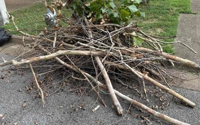 Photo of Kerri M.'s yard after getting landscaping in Memphis, TN