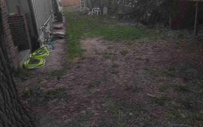 Photo of James A.'s yard after getting landscaping in Wellington, CO