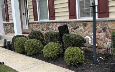 Photo of Rosa L.'s yard after getting tree care in Great Falls, VA