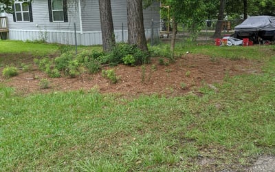 Photo of Stephanie G.'s yard after getting landscaping in Liverpool, TX