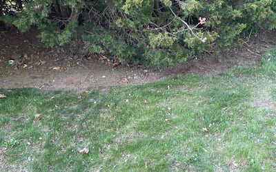 Photo of Jennifer C.'s yard after getting landscaping in East Setauket, NY