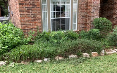 Photo of Suzanne S.'s yard after getting landscaping in Mc Queeney, TX