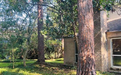 Photo of Kathy M.'s yard after getting landscaping in Kenney, TX