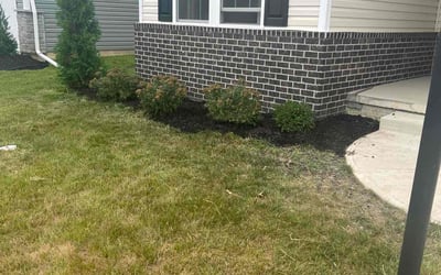 Photo of Qi J.'s yard after getting landscaping in North Ridgeville, OH