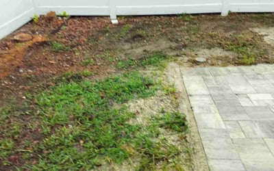 Photo of Mark D.'s yard after getting landscaping in Crystal Beach, FL