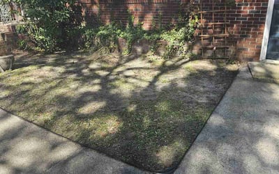 Photo of Campbell C.'s yard after getting landscaping in Bonneau, SC