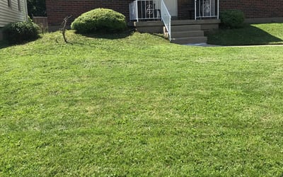 Photo of Jarra H.'s yard after getting landscaping in West Harrison, IN