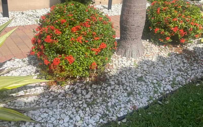 Photo of Andrew S.'s yard after getting landscaping in Boynton Beach, FL