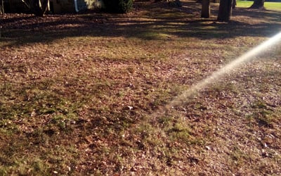 Photo of Sandra D.'s yard after getting landscaping in Blairstown, NJ