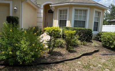 Photo of Nicole R.'s yard after getting landscaping in Babson Park, FL