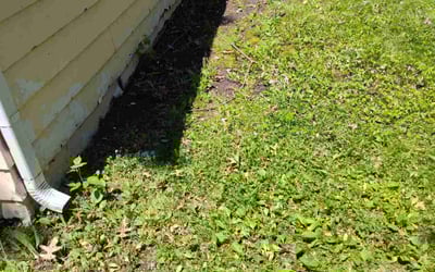 Photo of Sharon A.'s yard after getting landscaping in Cleveland, OH