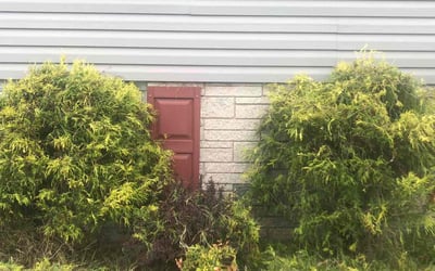 Photo of Liz S.'s yard after getting landscaping in Centreville, MD