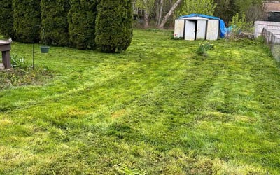 Photo of James C.'s yard after getting tree care in Newburgh, NY