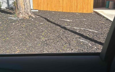 Photo of Jordan S.'s yard after getting landscaping in Hartsel, CO