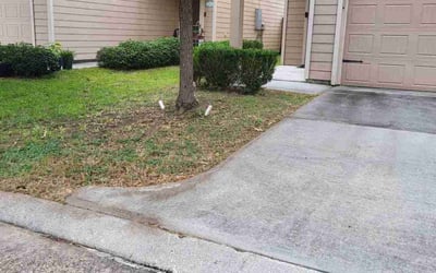 Photo of Richard S.'s yard after getting landscaping in Houston, TX