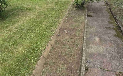 Photo of Mary J.'s yard after getting landscaping in Bristol, RI