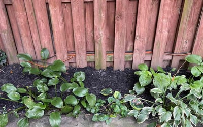 Photo of Ashley T.'s yard after getting landscaping in Vienna, VA