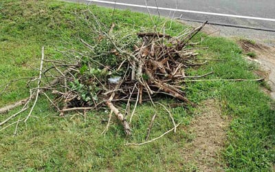 Photo of Carol C.'s yard after getting landscaping in Carthage, TN
