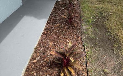 Photo of Kimberly J.'s yard after getting tree care in Haines City, FL