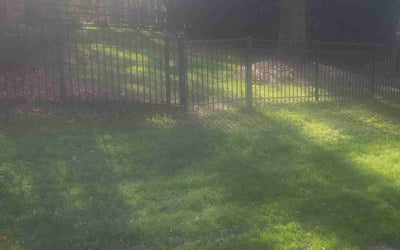 Photo of John F.'s yard after getting landscaping in Catawba, SC